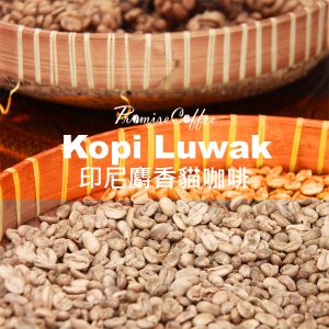 Kopi Luwak 生豆