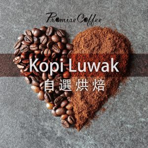 Kopi Luwak 自選烘焙