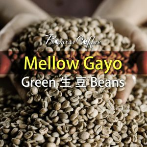Mellow Gayo 生豆