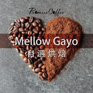 Mellow Gayo 自選烘焙